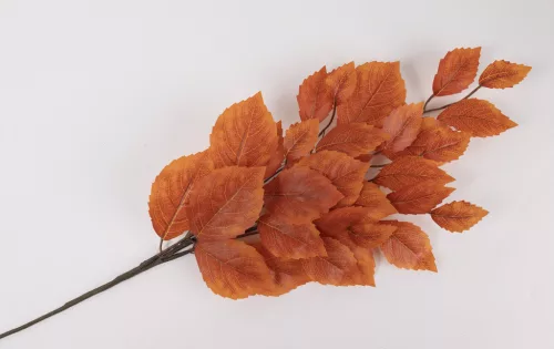 MŰVIRÁG, FAÁG, ŐSZI, NARANCSSÁRGA