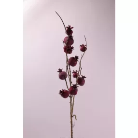 GRÁNÁTALMA ÁG 11GY-2S  80CM
