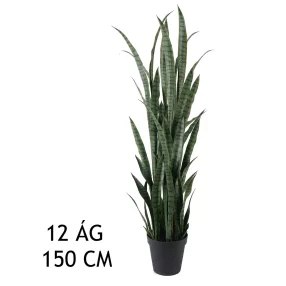 ANYÓSNYELV ZÖLD 12ÁG    150CM
