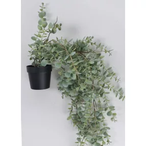 FUTÓ EUCALYPTUS+CSER. 30*66