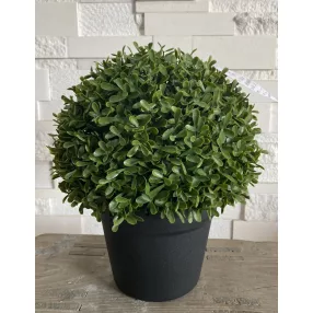 BONSAI GÖMB+CSERÉP UV  15CM